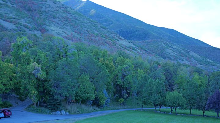 Mountain ridge, blue cast